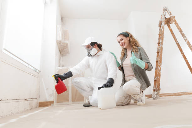 Mold Remediation for Vacation Homes